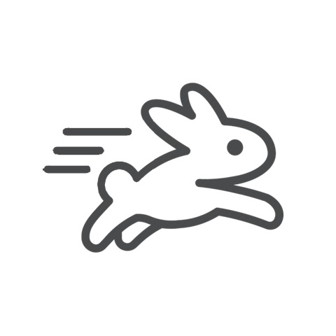 Rabbit Accounting
